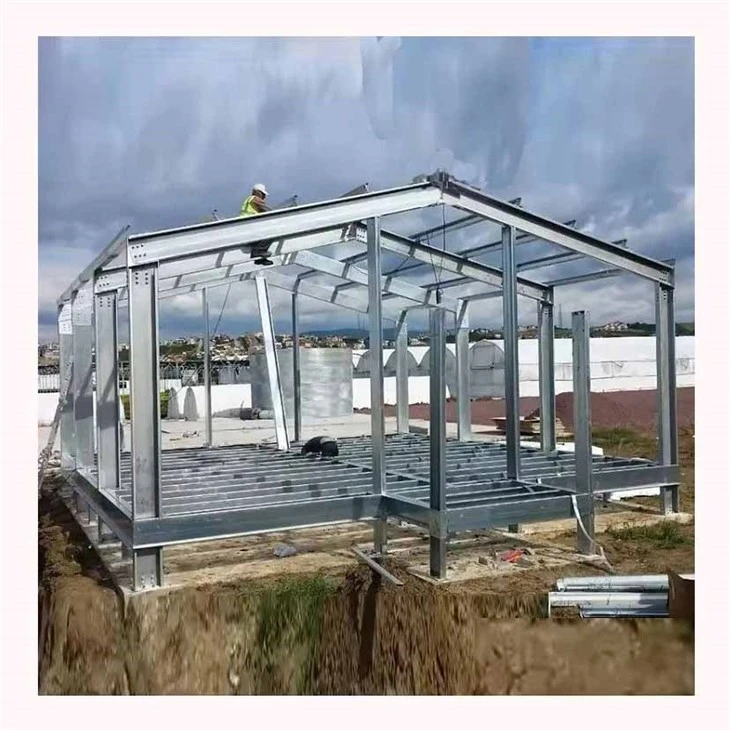 The Structure Structure Plant